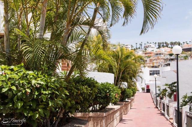 Apartament Malibu Blue Costa Adeje  Eksteriør bilde