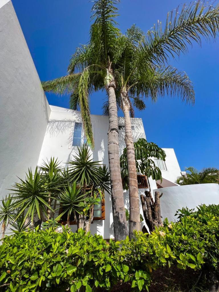 Apartament Malibu Blue Costa Adeje  Eksteriør bilde